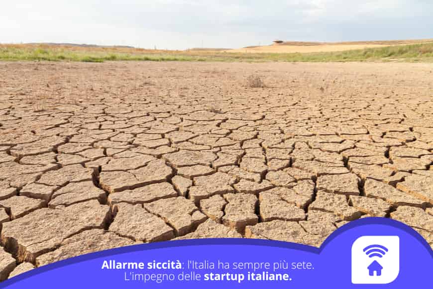 Allarme siccità: l'Italia ha sempre più sete. L'impegno delle startup italiane.